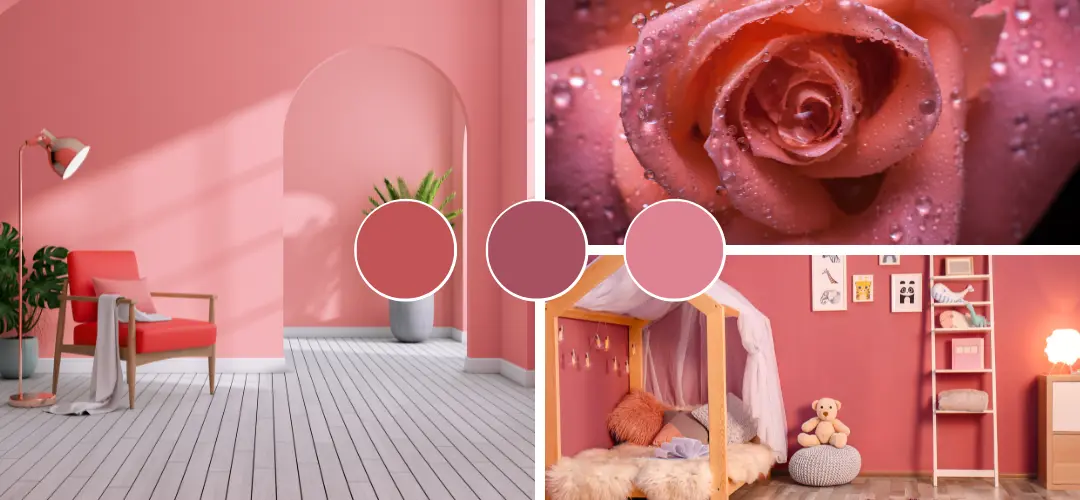 Colour Trends 2024